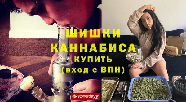 ECSTASY Инсар