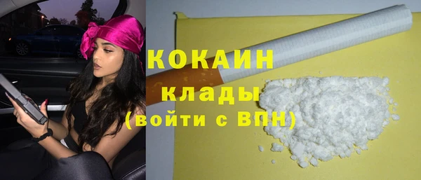 винт Инта