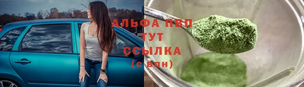 винт Инта