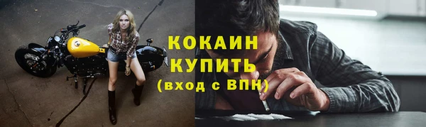 ECSTASY Инсар