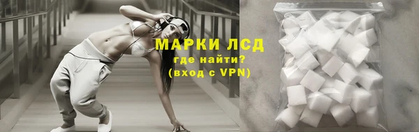 ECSTASY Инсар