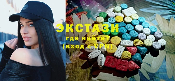 ECSTASY Инсар