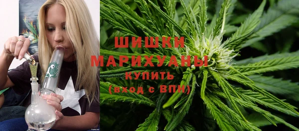 винт Инта