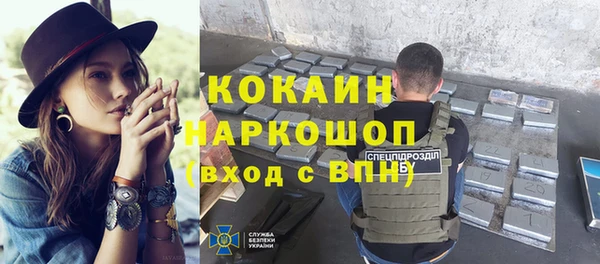 винт Инта
