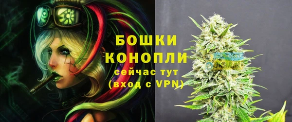 винт Инта