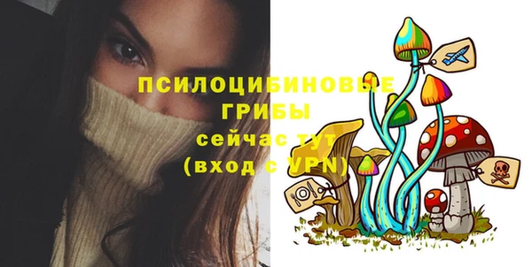 ECSTASY Инсар