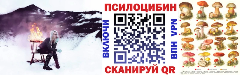 Галлюциногенные грибы ЛСД  Судогда 