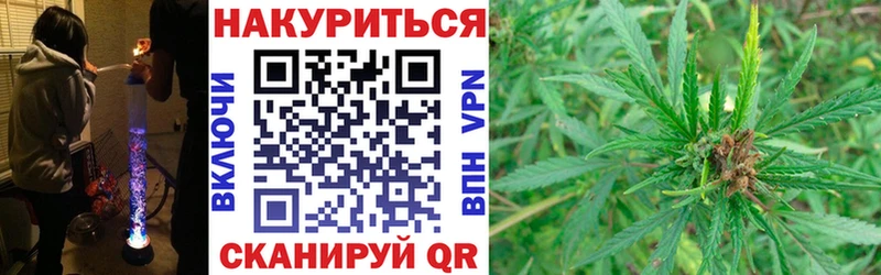блэк спрут   где купить наркотик  Судогда  дарк нет телеграм  Бошки марихуана гибрид 